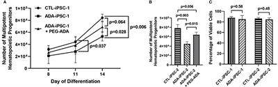 The Use of Induced Pluripotent Stem Cells to Study the Effects of Adenosine Deaminase Deficiency on Human Neutrophil Development